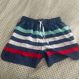 Men’s Chubbies Striped Swim Trunks